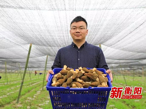 湖南金芙農(nóng)業(yè)科技有限公司,湖南農(nóng)業(yè)科技發(fā)展,蛹蟲草,藥用菌 湖南金芙農(nóng)業(yè)科技有限公司,湖南農(nóng)業(yè)科技發(fā)展,蛹蟲草,藥用菌