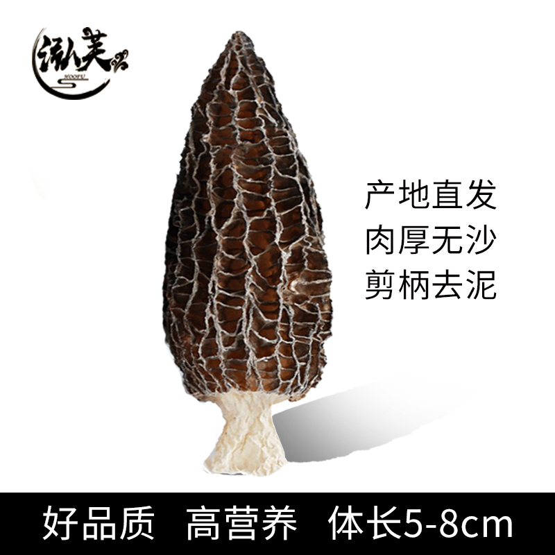 湖南金芙農(nóng)業(yè)科技有限公司,湖南蛹蟲草,湖南羊肚菌,蛹蟲草,羊肚菌,龍新,蟲草酒哪里好,衡陽(yáng)食用菌,衡陽(yáng)羊肚菌,衡陽(yáng)蛹蟲草